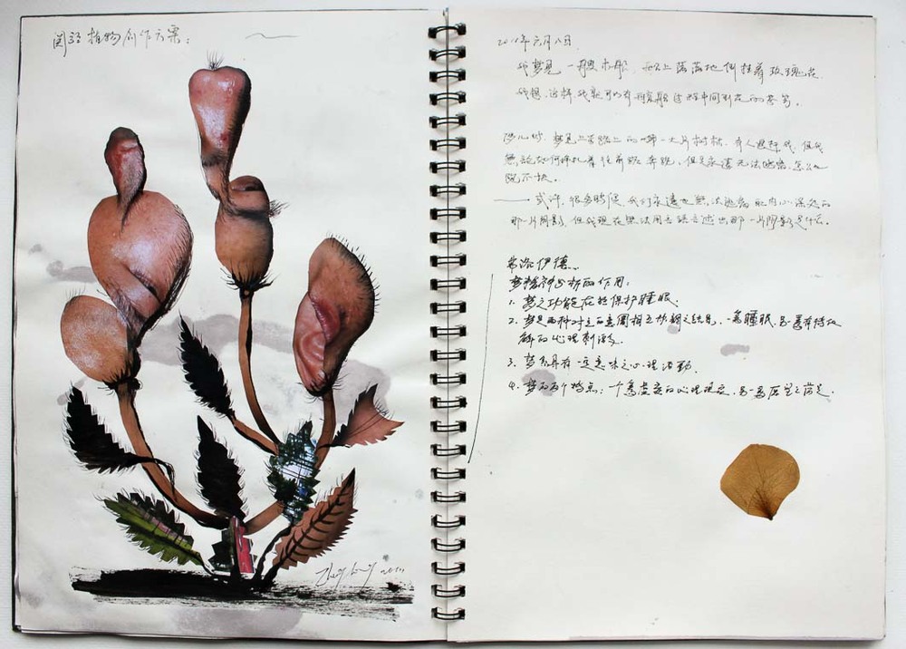 Private Botany Codex 38x27cm since2009-6.jpg