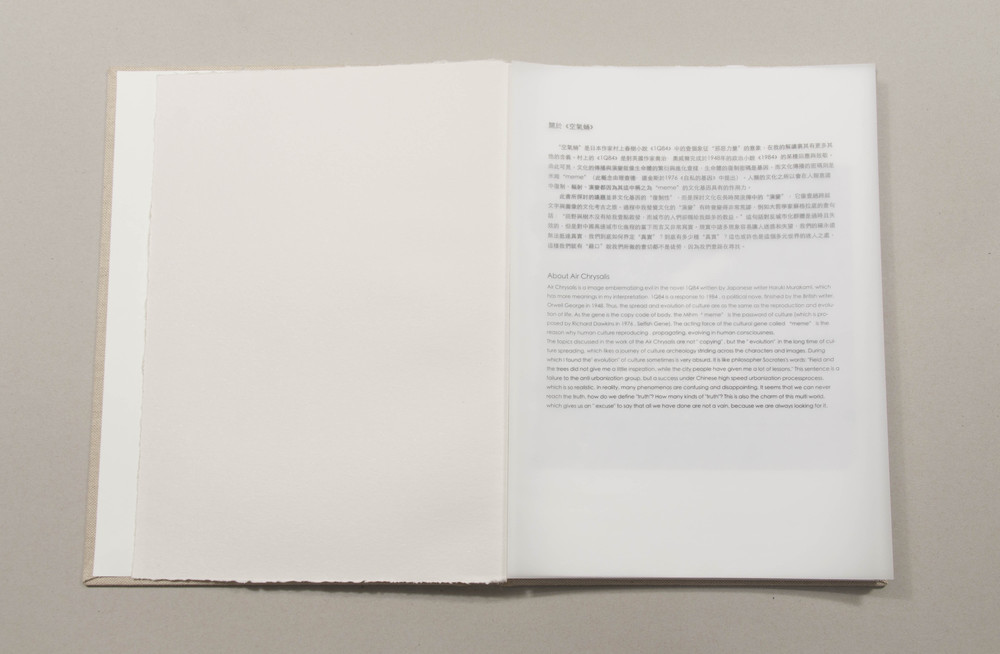 Air  chrysalis Book-1.jpg